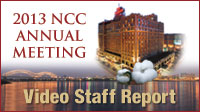 2013-am-video-staff-report-icon-