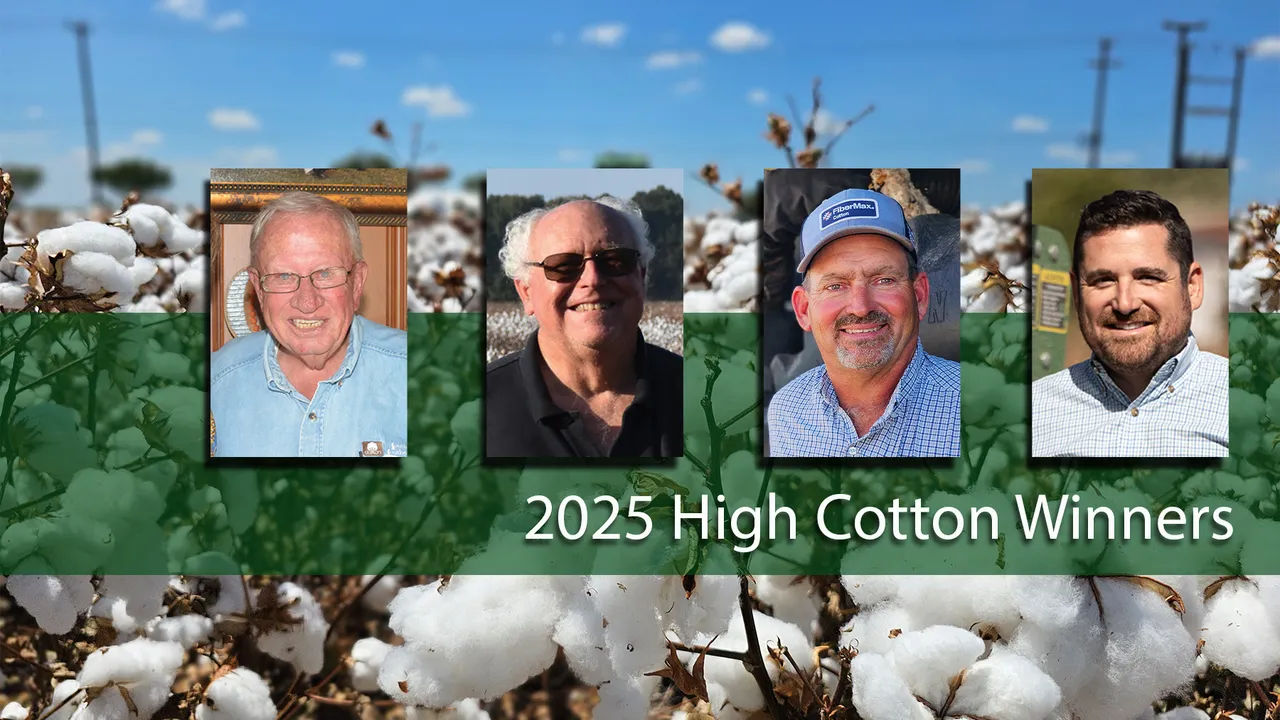 High Cotton 2025