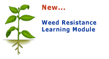 Weed Resistance Learning Module