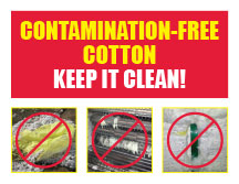 contamintation free cotton
