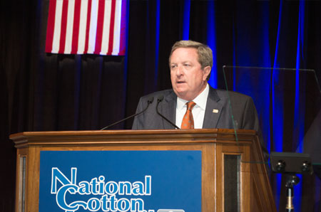 member spotlight ronnie lee