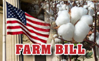 13-farm-bill-graphic