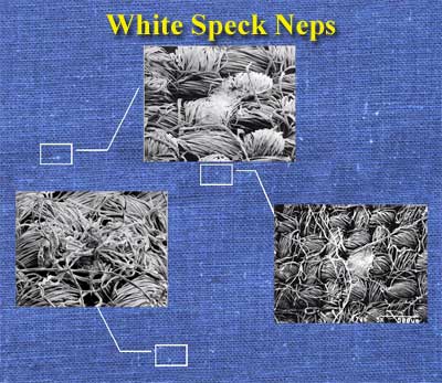 Scanning electron microscopy shows that white specks are a mass of immature fibers that have flat, ribbon-like appearance.  They appear on the surface of darkly dyed fabrics as specks or non-uniform streaks.  To eliminate subjective analysis of white specks on fabrics, procedures to quantify white specks using image analysis are described.
