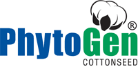 PhytoGen Cottonseed
