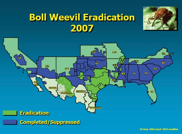 2007 Boll Weevil Eradication Map