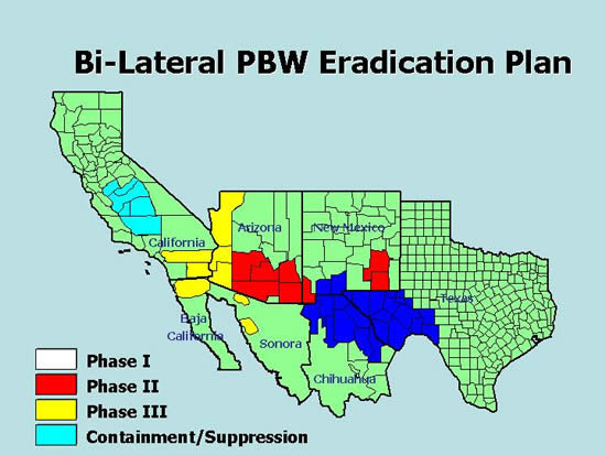 Bi-Lateral Pink Bollworm Eradication Plan