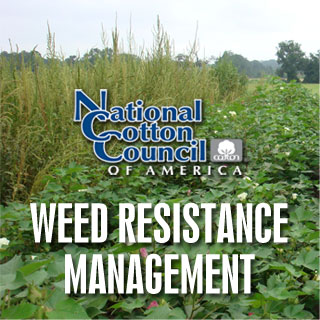 Weed Resistance