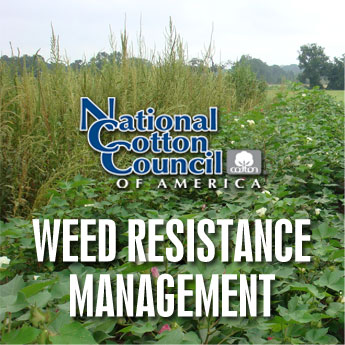weed-resistance-graphic