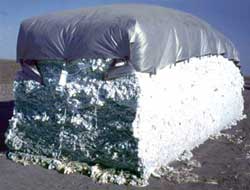 Module