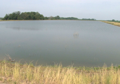 water quality pond