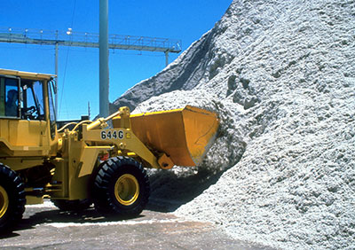 cottonseed proposal cottonseed proposal