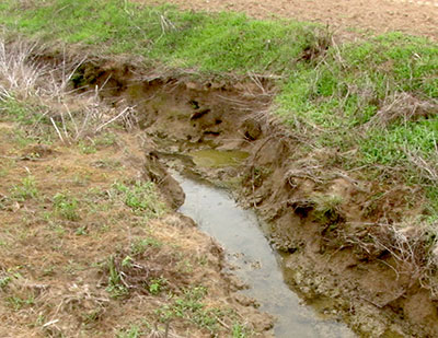 clean water rule clean water rule