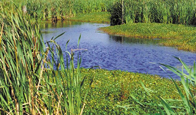 wotus stream wotus stream