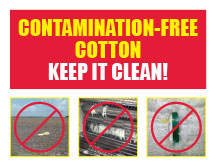 contamination free cotton
