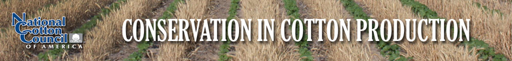 conservation-programs-header Conservation Programs in Cotton