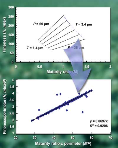 Family of lines (Part I; Montalvo) collapses into a single line (Part II; Montalvo and Von Hoven) with a new plotting model of the relationship among maturity ratio, fineness, and perimeter.