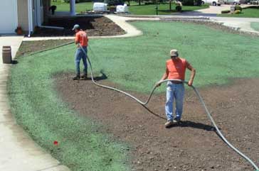 Cotton-based hydro-mulches are promising alternatives to conventional wood and paper-based hydro-mulches for erosion control and will provide a use for by-products generated by the cotton industry.