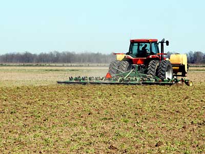 Numerous studies have evaluated the effects of tillage practices and cover crops on soil erosion and cotton yields, but none have focused an economic analysis of these two practices together. Economic analysis indicated that yield increases associated with planting cover crops did not compensate for the added expense.