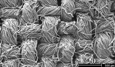 Scanning Electron Microscopic (SEM) picture of silver nanoparticles loaded grafted cotton fabric