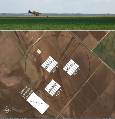 Optimizing aerial application of bollworm ovicides