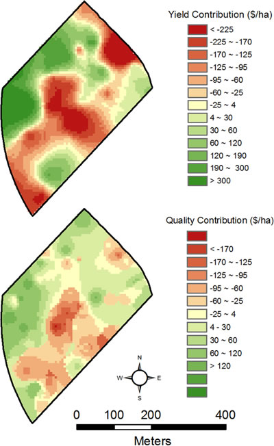 Cotton lint yield and fiber quality contributions to overall field variation of gross revenue