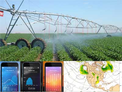Scheduling irrigation using different precipitation forecast methods in southern Georgia - their effect on yield, irrigation water use, and comparative performance