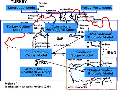 Modeling the impact of increased cotton production in the Turkish Southeastern Anatolia regions on global crop commodity markets.