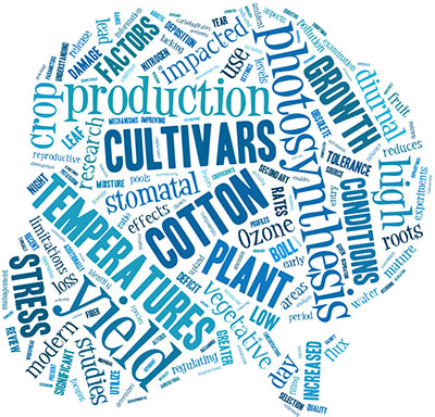 <strong>Plant Physiology Symposium:</strong> Carbon dynamics in cotton as influenced by genotype, management, or environment.