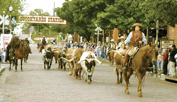 stockyard station