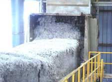 Cotton Ginning