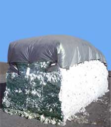 Cotton Module