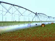 Cotton Irrigation