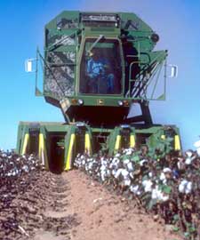 Cotton Picking Machine