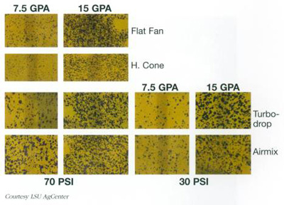 harvest-fig-3