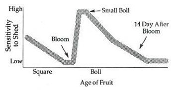 inseason-fig-2