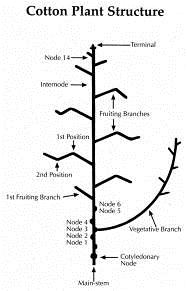 overview-fig-1